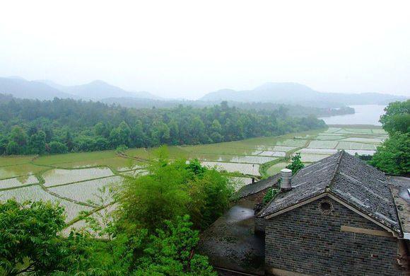 milan米兰app官网