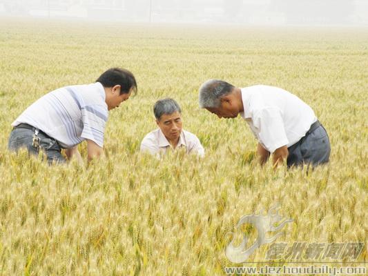 发展“碳金融”促低碳经济——中国资源型城市发展新出路_milan米兰app官网