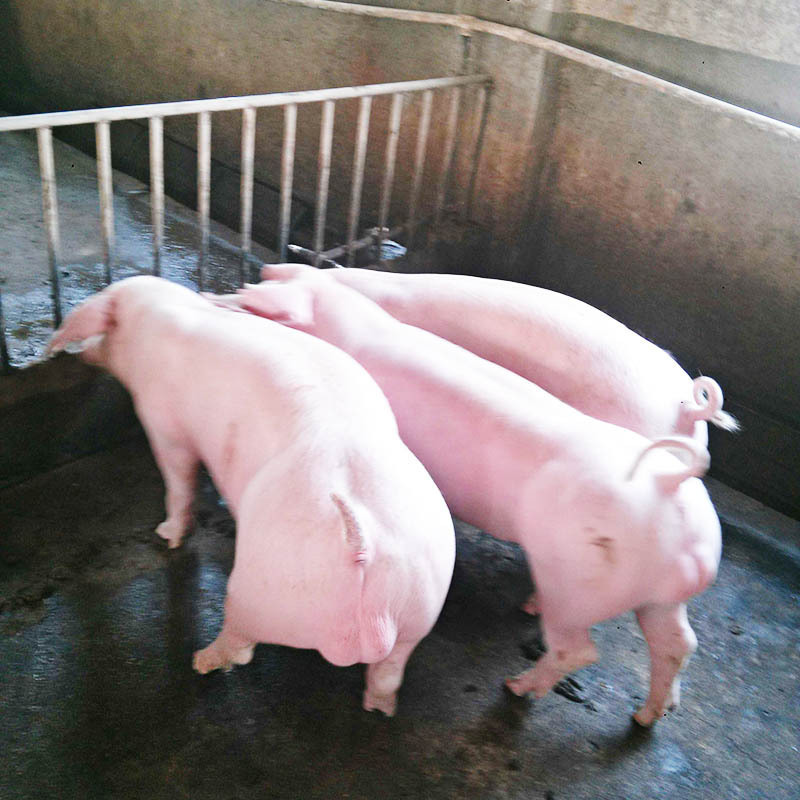 ‘米兰官方网站’游戏界的金酸梅:2016十款最失望的游戏(1)(图3) 米兰官方网站