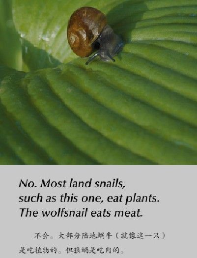 “milan米兰app官网”穆帅:执教曼联后期我失去了激情 现在找回了快乐(图4) milan米兰