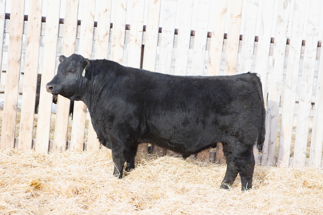 【milan米兰】钱途无量——模拟经营类游戏推荐(图1) 米兰官方网站