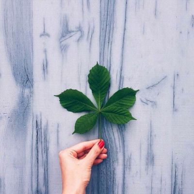 milan米兰app官网