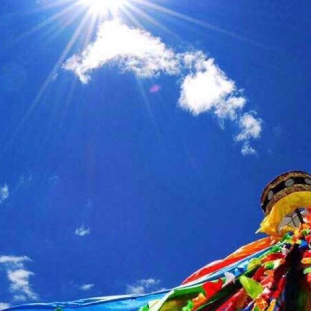 milan米兰app官网