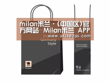 项目名称十四