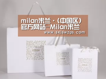 项目名称十一