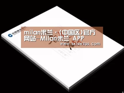 项目名称七
