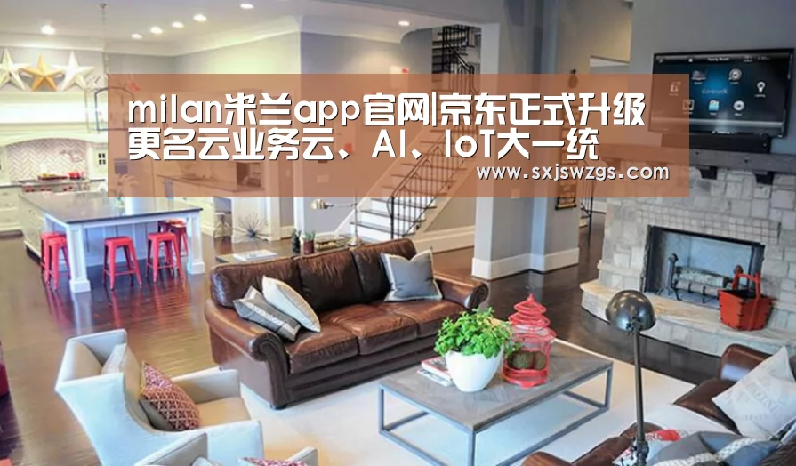 milan米兰app官网|京东正式升级更名云业务云、AI、IoT大一统(图1) 米兰官方网站