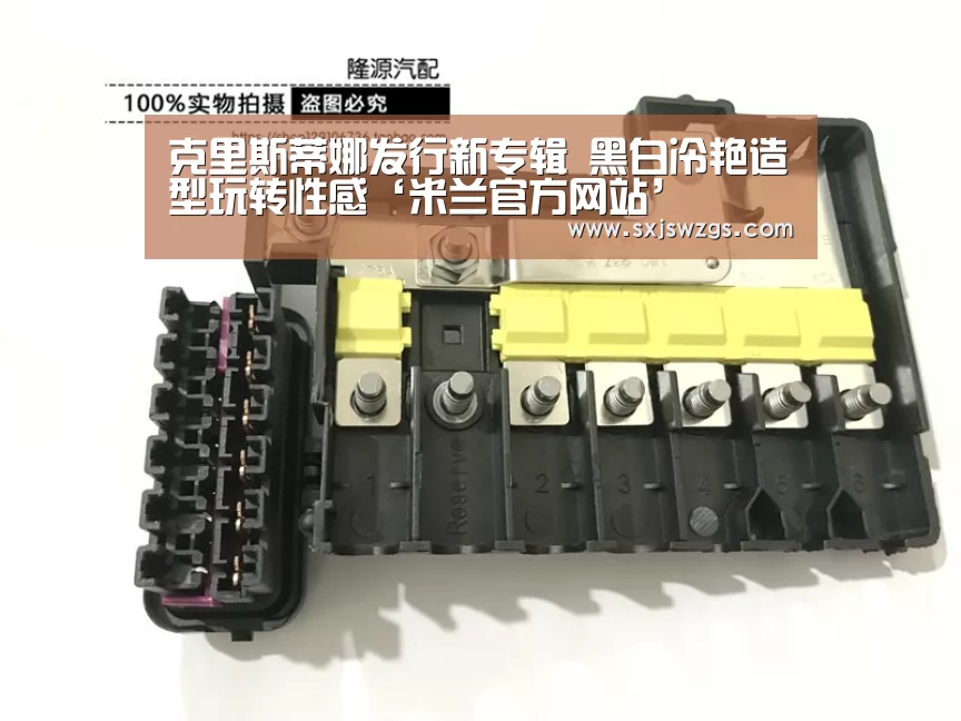 克里斯蒂娜发行新专辑 黑白冷艳造型玩转性感‘米兰官方网站’(图3) milan米兰