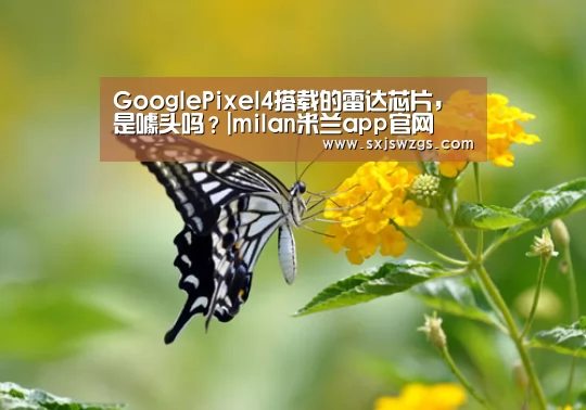 GooglePixel4搭载的雷达芯片,是噱头吗?|milan米兰app官网(图1) milan米兰