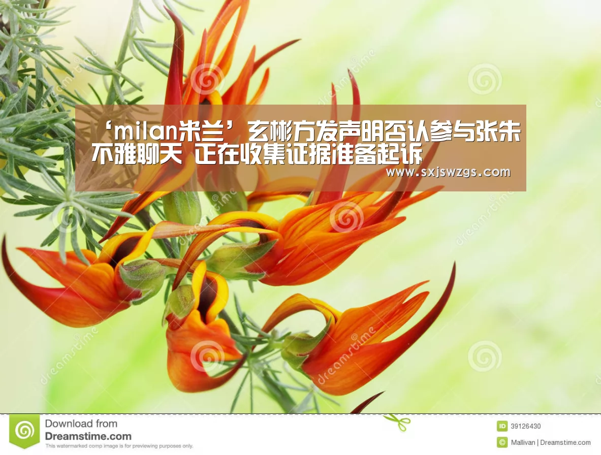 ‘milan米兰’玄彬方发声明否认参与张朱不雅聊天 正在收集证据准备起诉(图4) milan米兰app官网