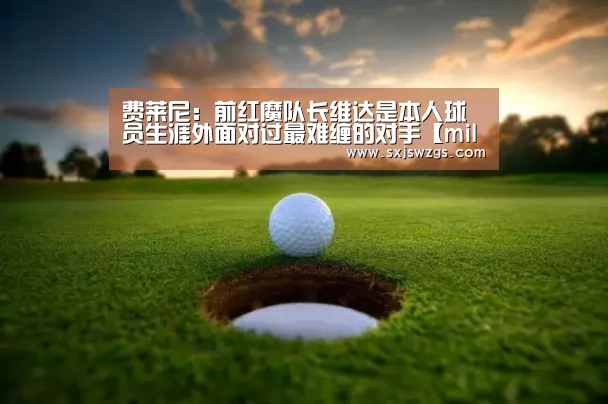 费莱尼:前红魔队长维达是本人球员生涯外面对过最难缠的对手【milan米兰app官网】(图2) milan米兰app官网