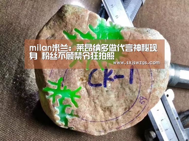milan米兰app官网