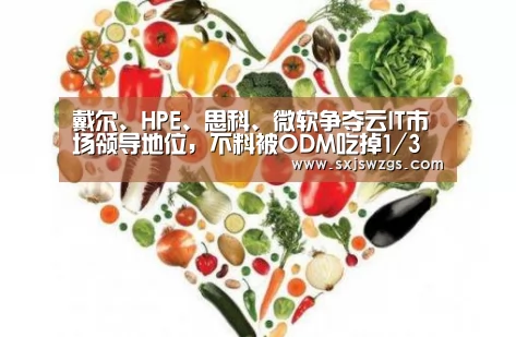 戴尔、HPE、思科、微软争夺云IT市场领导地位,不料被ODM吃掉1/3利润:米兰官方网站(图1) milan米兰app官网