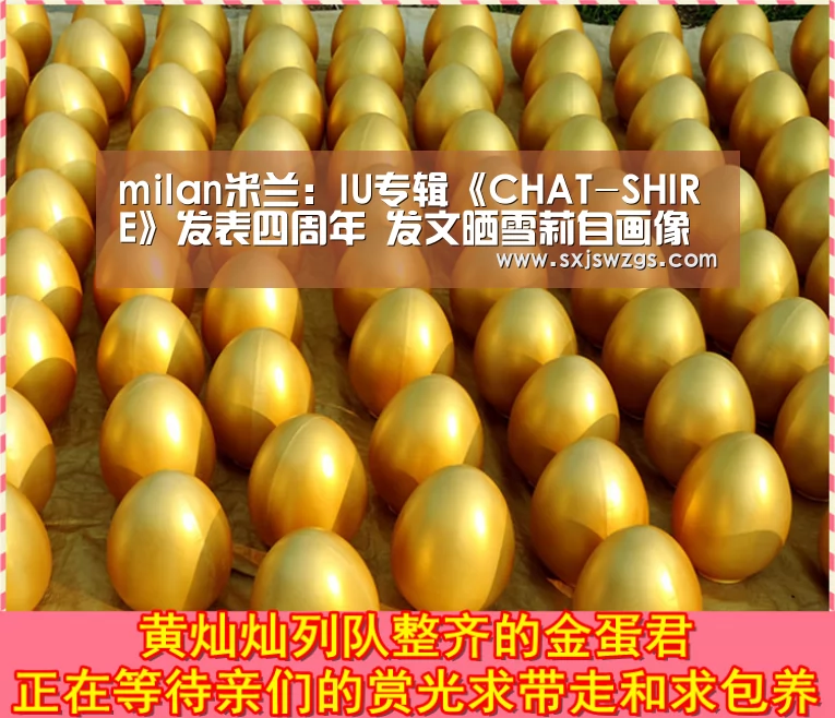 milan米兰:IU专辑《CHAT-SHIRE》发表四周年 发文晒雪莉自画像(图3) 米兰官方网站