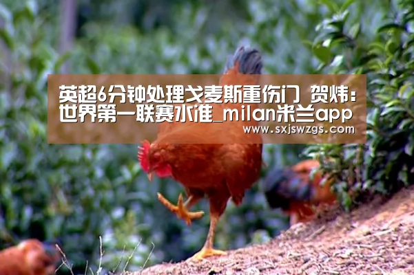 米兰官方网站